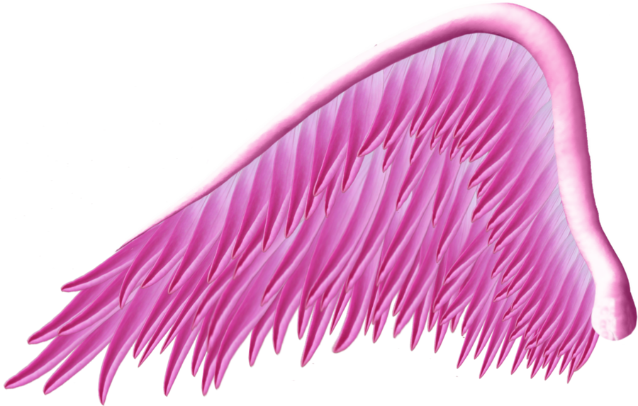 Pink PNG High-Quality Image