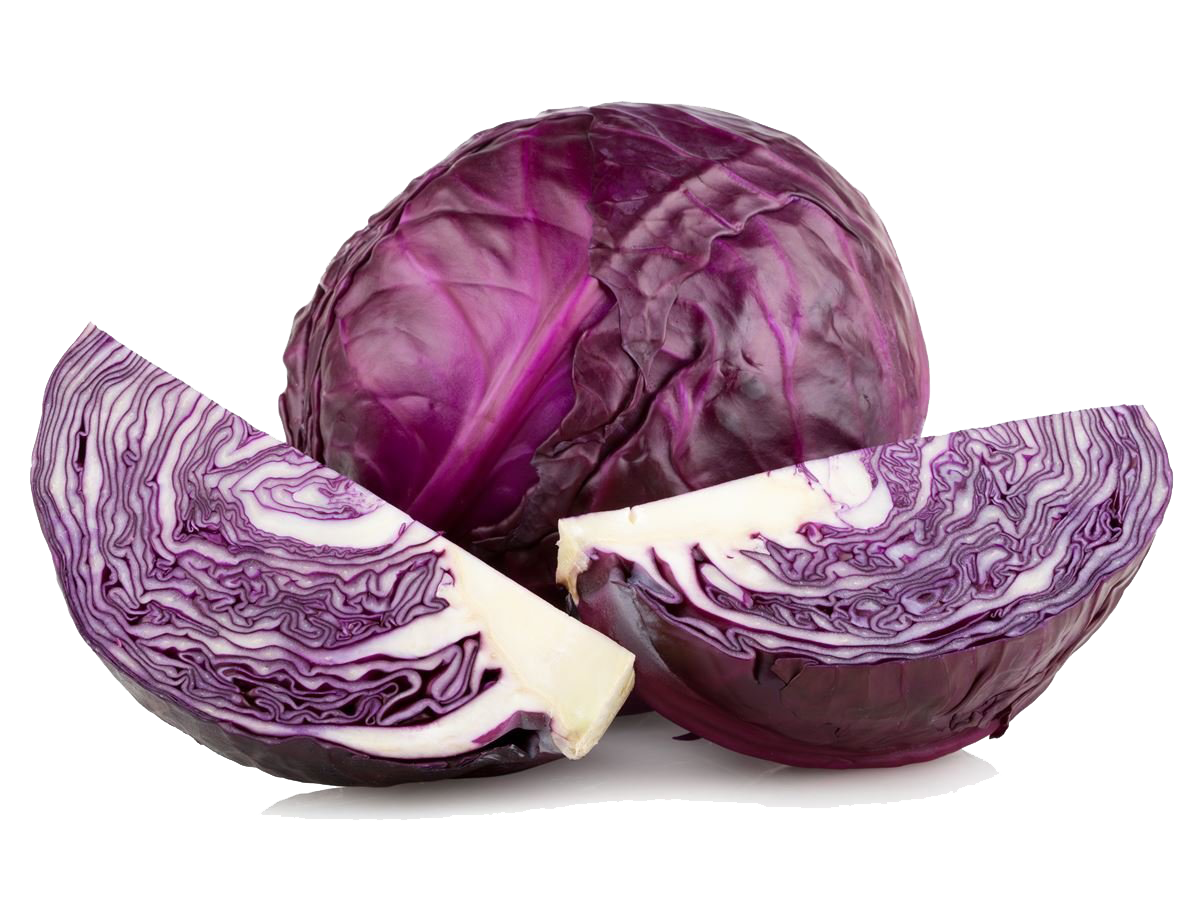 Purple Cabbage PNG High-Quality Image