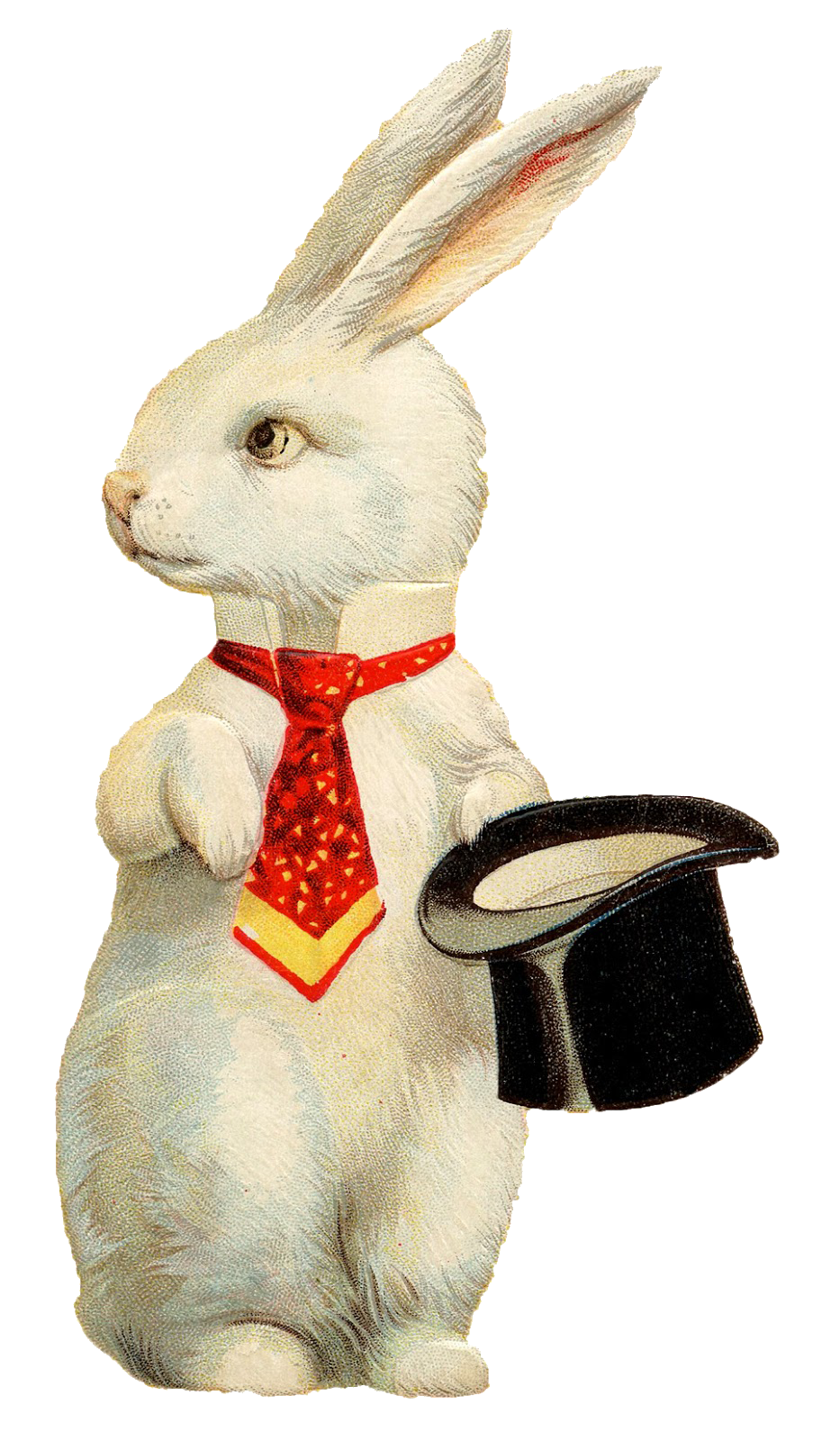 Кролик шляпа PNG фоновое изображение