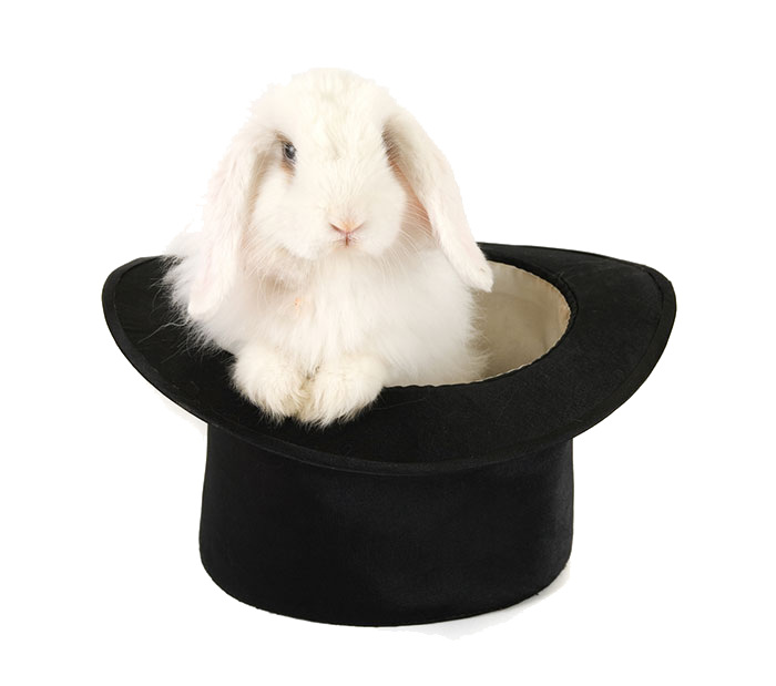 ภาพหมวกกระต่าย PNG
