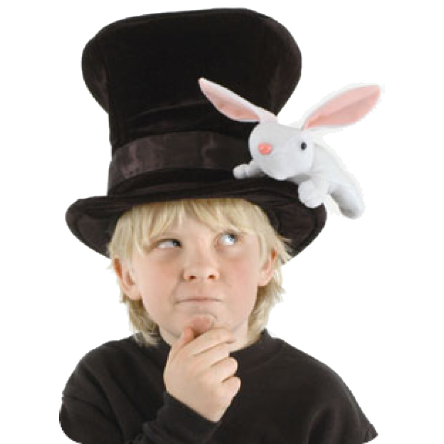 Chapéu de coelho imagem transparente