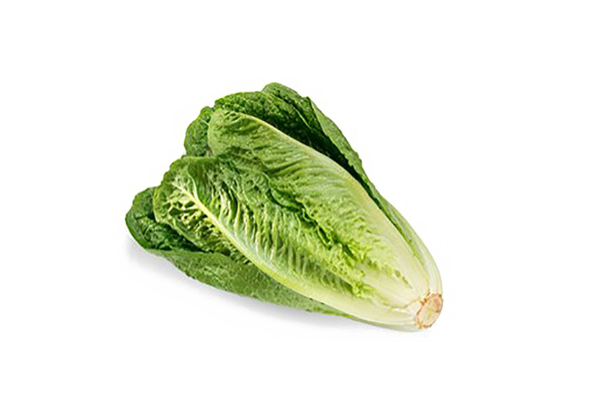 Romaine Lettuce PNG Download Image