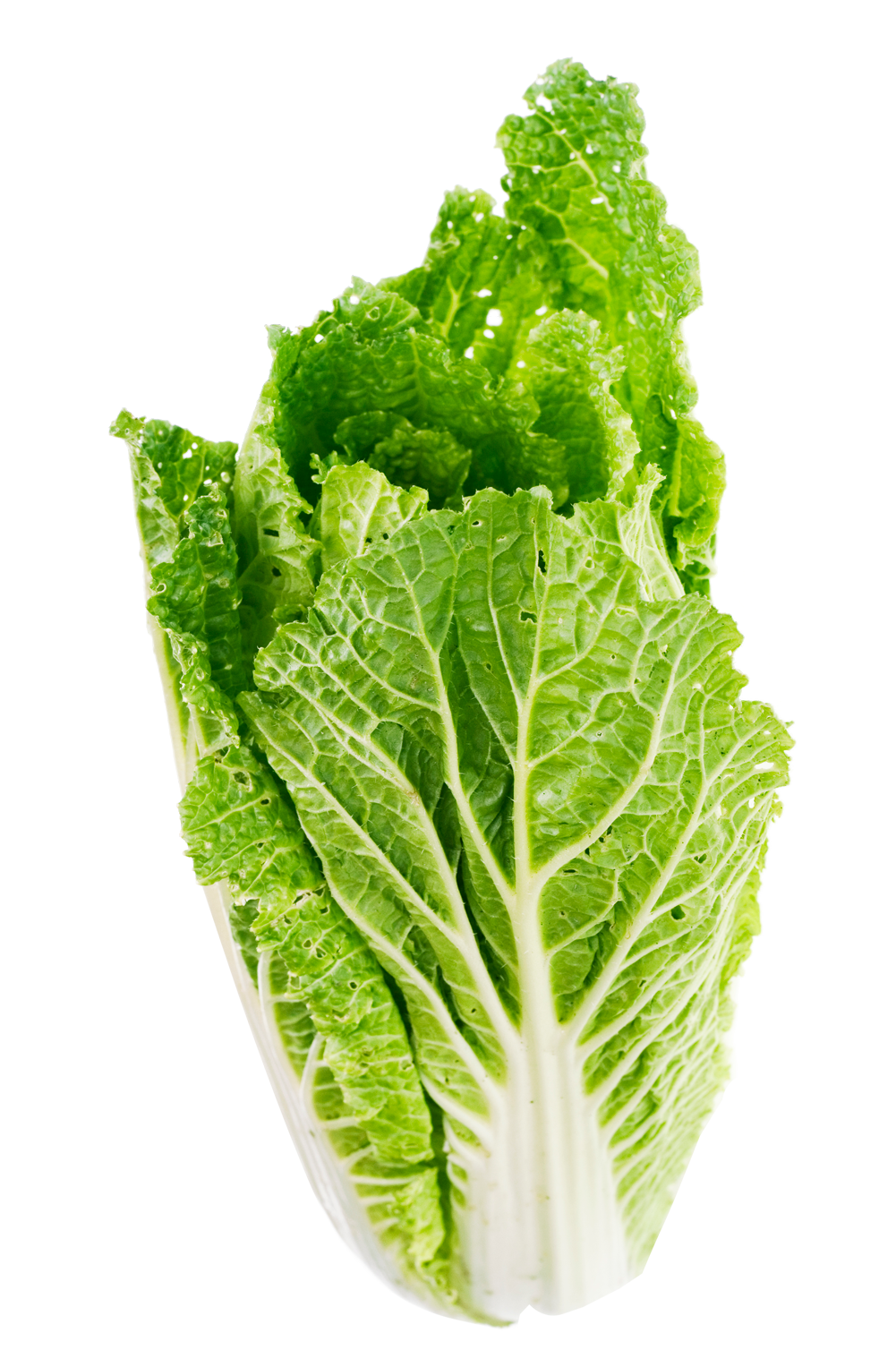 Romaine Lettuce PNG Free Download