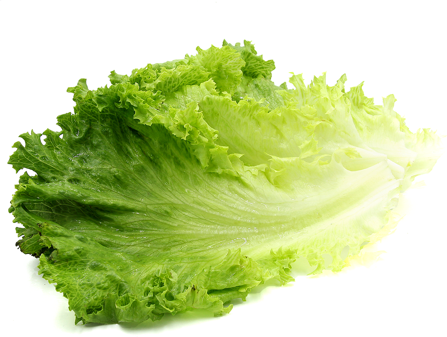 Romaine Lettuce PNG Transparent Image.