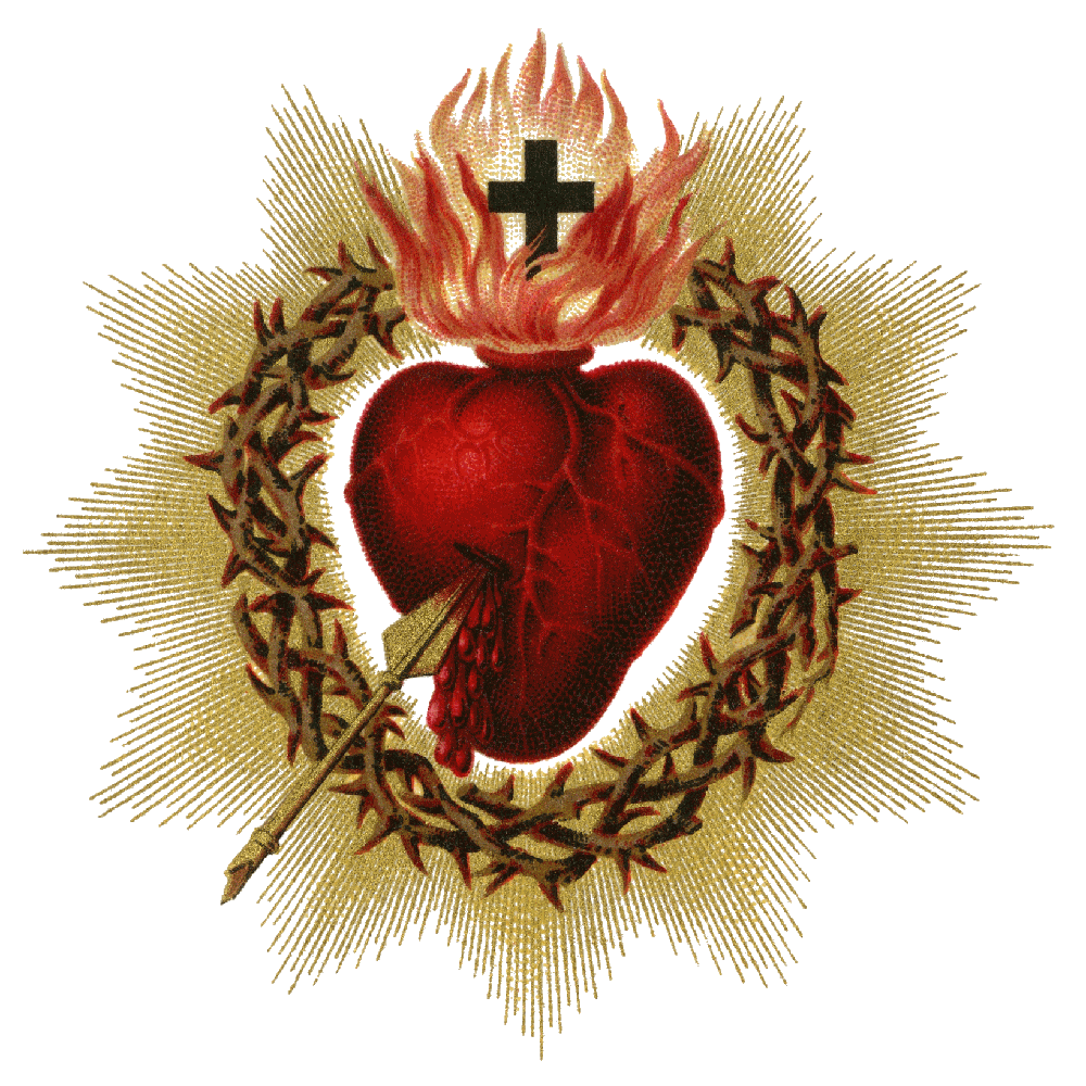 Imagen PNG del corazón sagrado