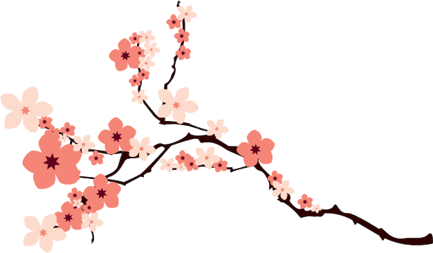 Imagem transparente Sakura