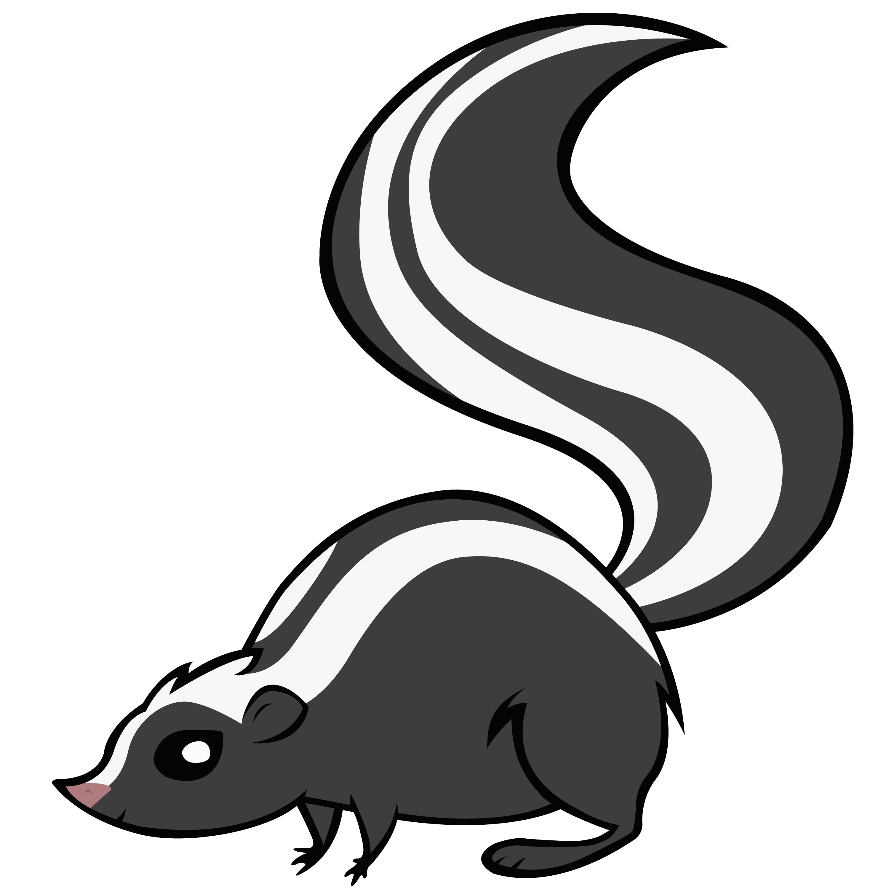 Skunk PNG Transparent Image
