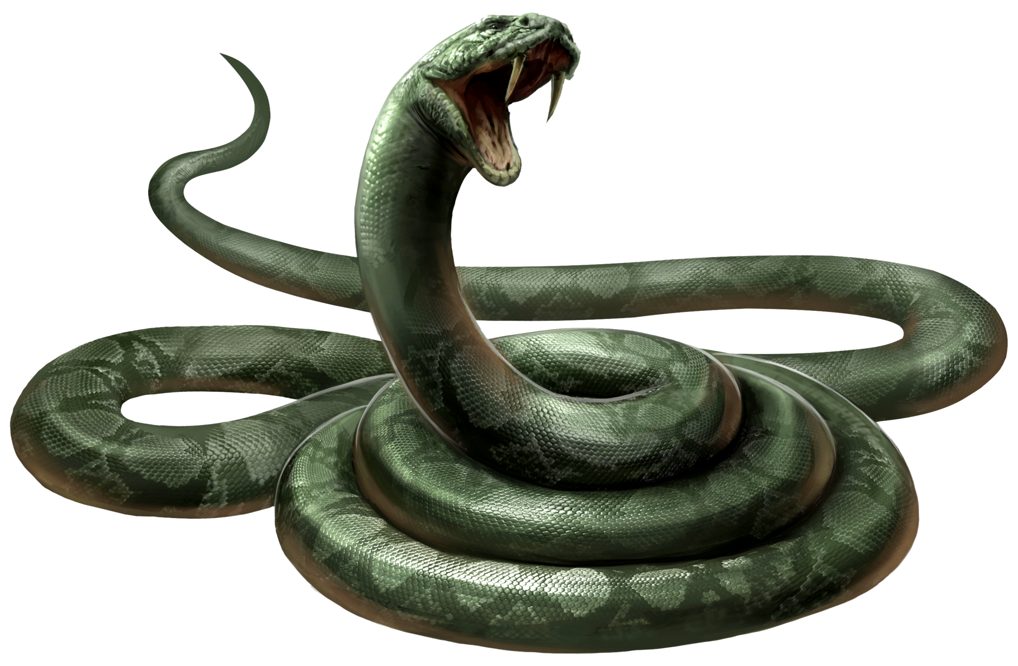 Snake PNG Download Image