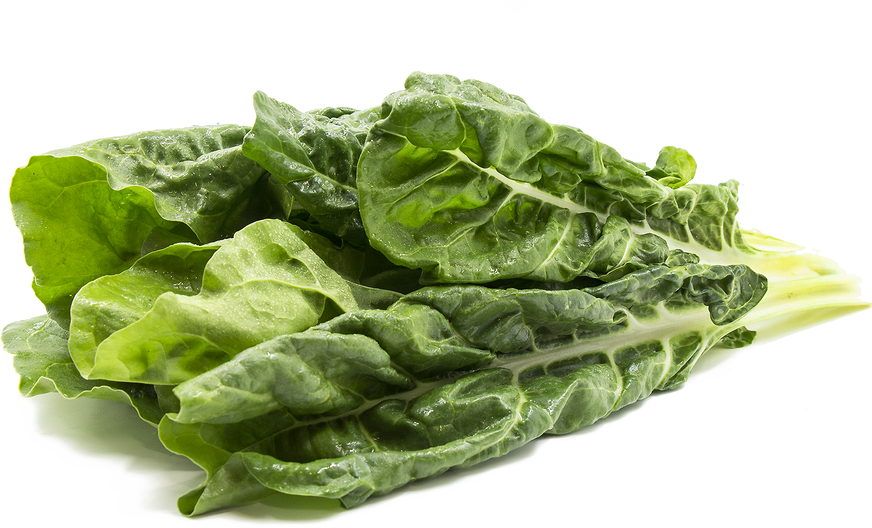 Swiss Chard PNG Download Image