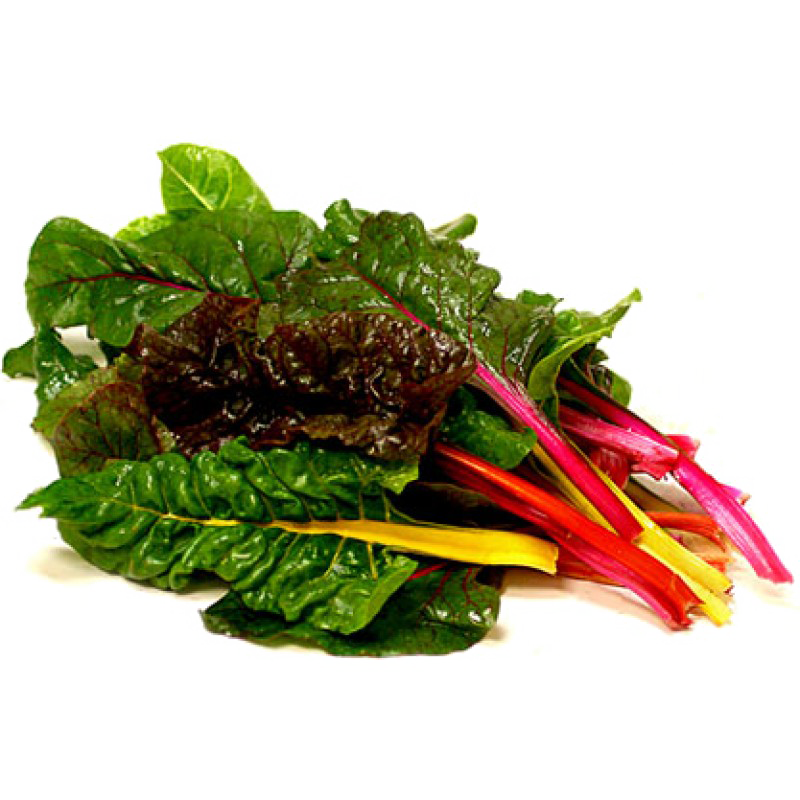 Swiss Chard PNG Free Download