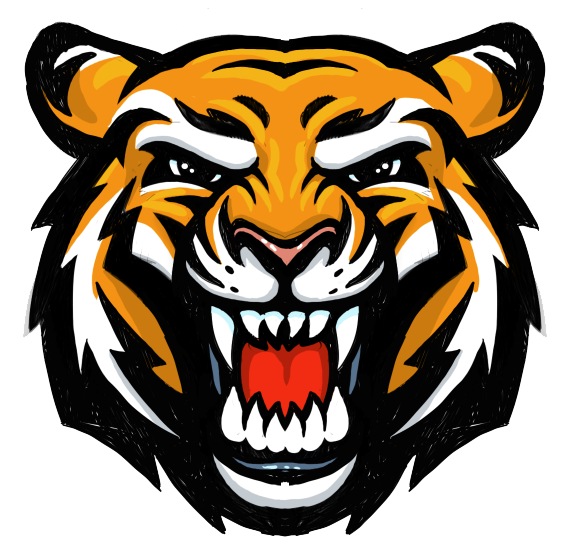 Tiger Gesicht PNG-Bild