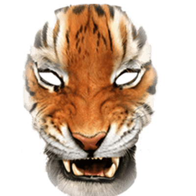 Tiger Gesicht PNG Transparentes Bild
