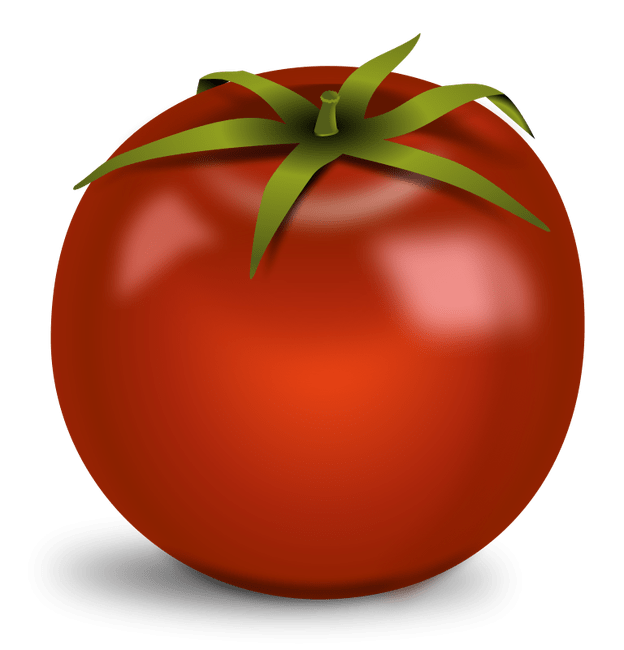 Tomato PNG Download Image