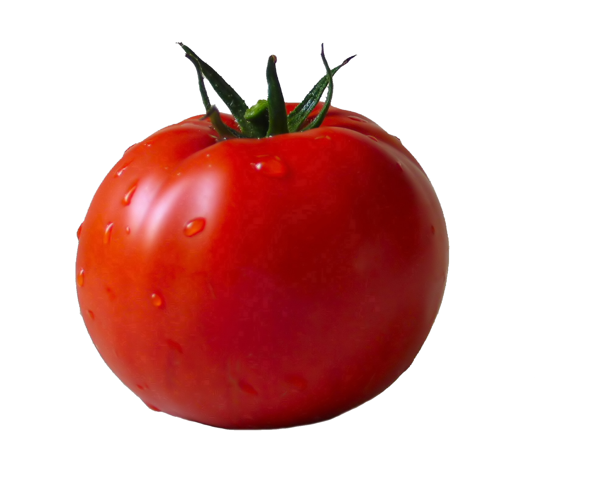 Tomato PNG Free Download