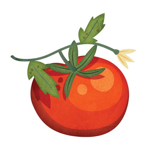 Tomate PNG image de haute qualité