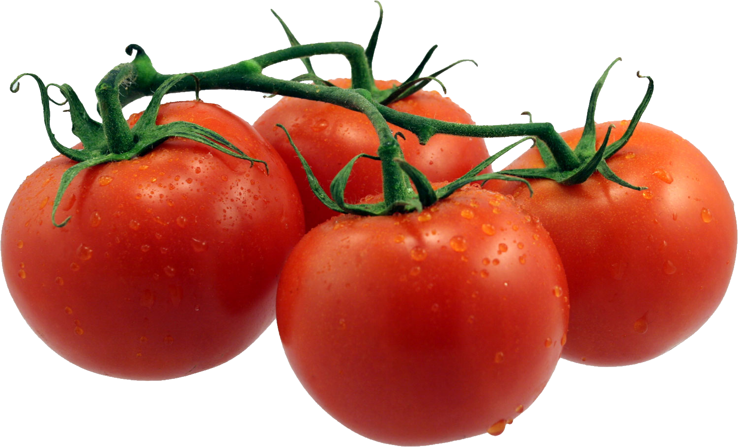 Tomat PNG Gambar
