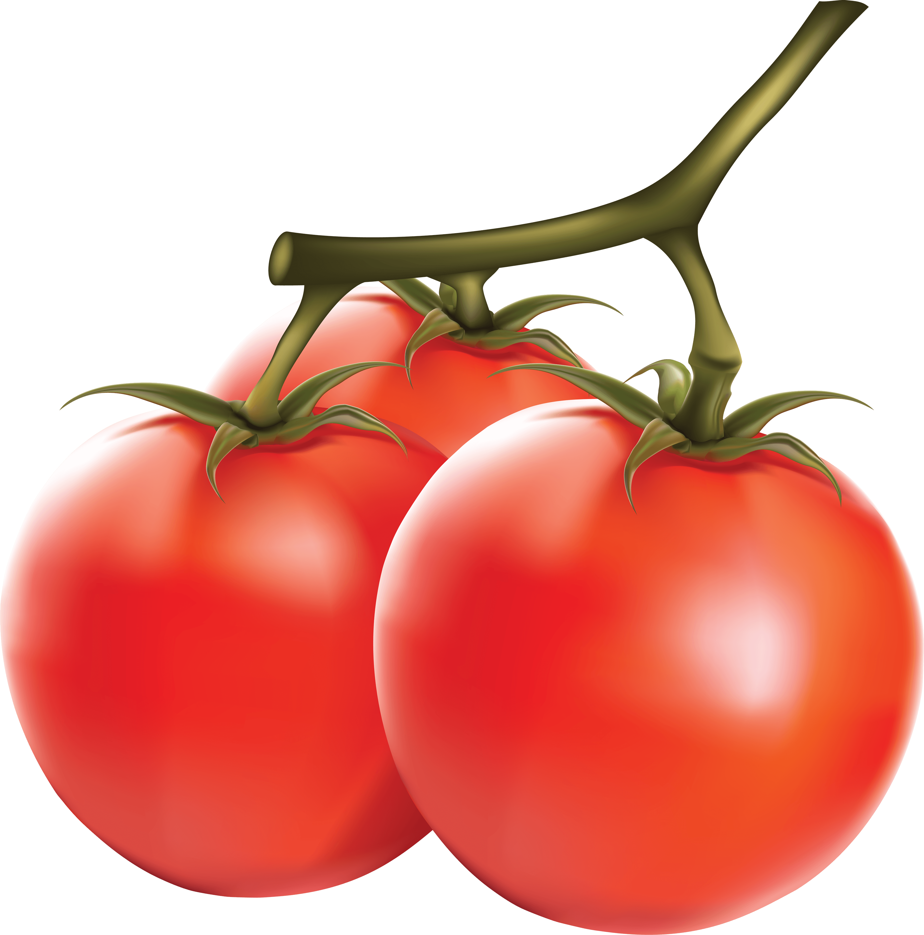 Tomato PNG Transparent Image