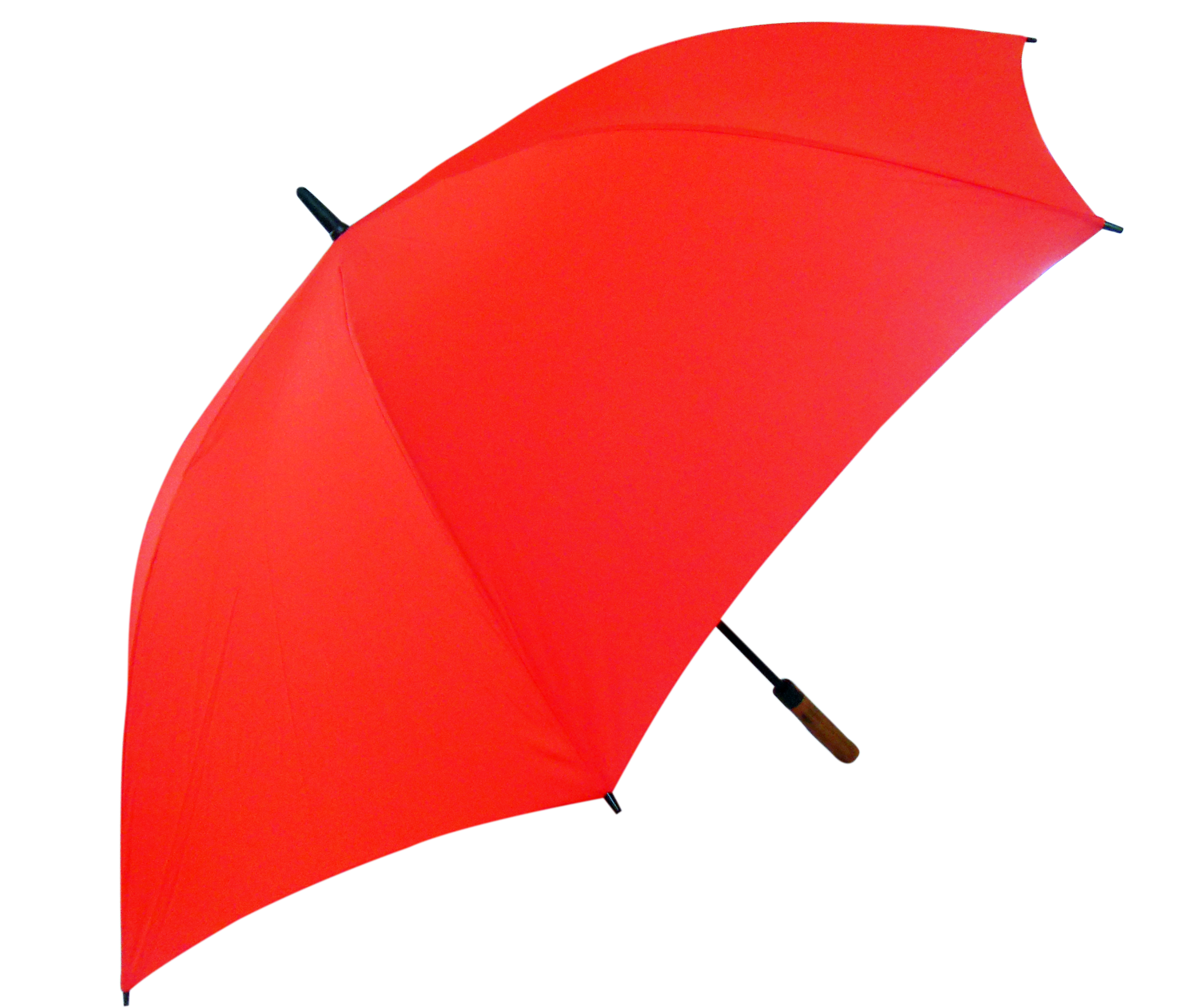 مظلة PNG صورة شفافة