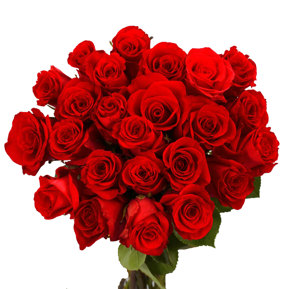 Día de San Valentín Flor PNG descargar imagen
