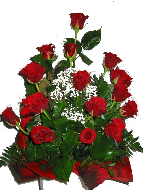 Día de San Valentín Flor PNG Imagen de alta calidad