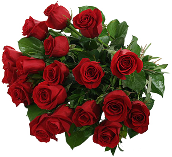 Valentine Day Flower PNG Pic