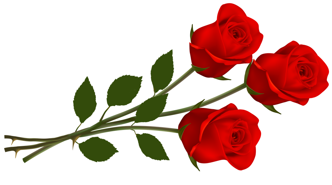 Imagen Transparente de la flor del día de San Valentín