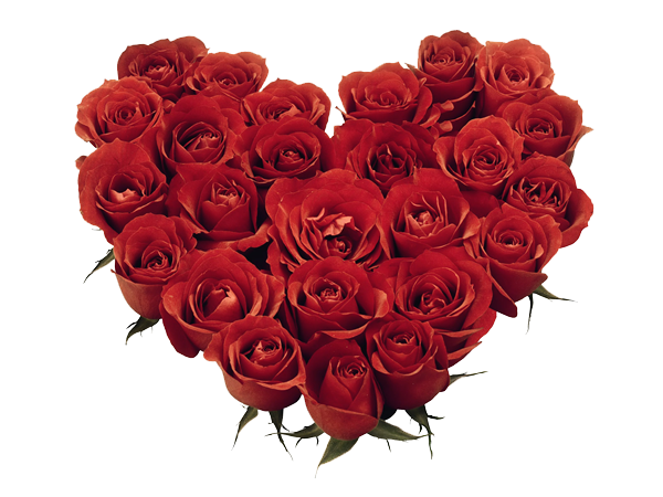 День Святого Валентина цветок прозрачные изображения
