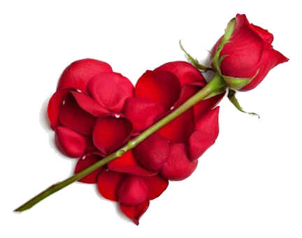 День Святого Валентина бесплатно PNG Image