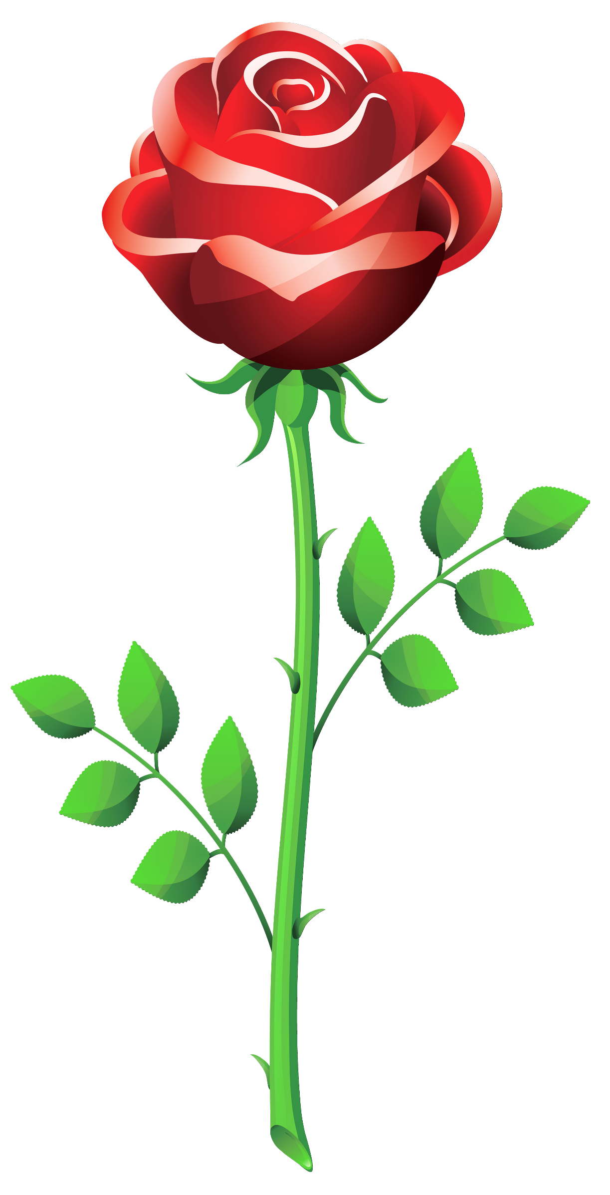 Valentines Day Roses PNG Image Background
