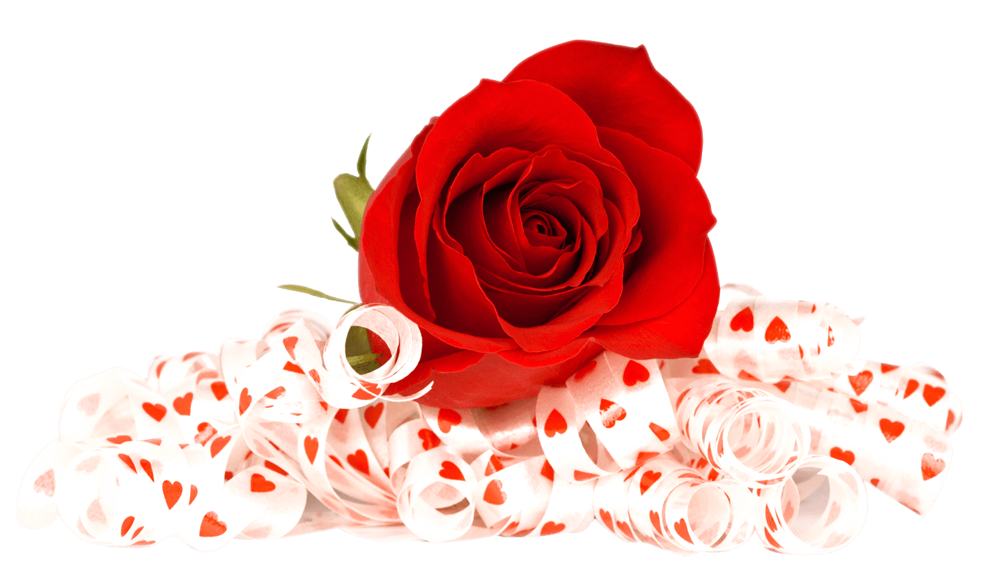 Valentines Day Roses PNG Photo | PNG Arts