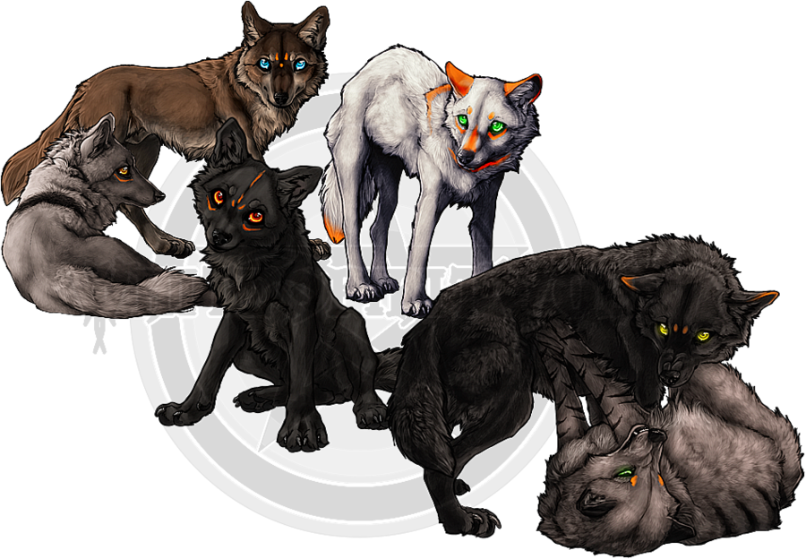 Wolf Pack Transparent Image