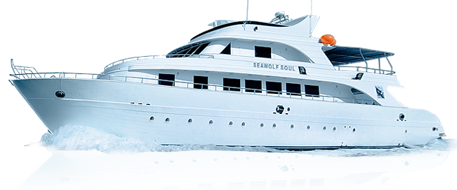 Yacht PNG Image