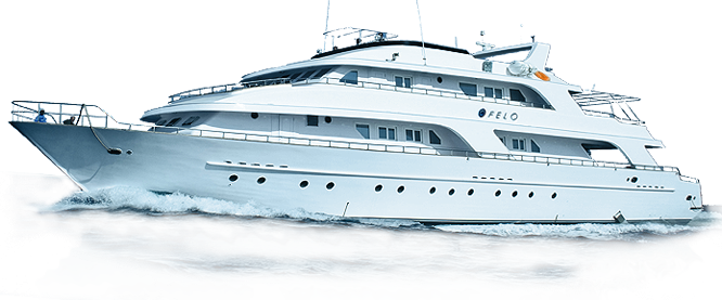 Yacht Transparan Gambar
