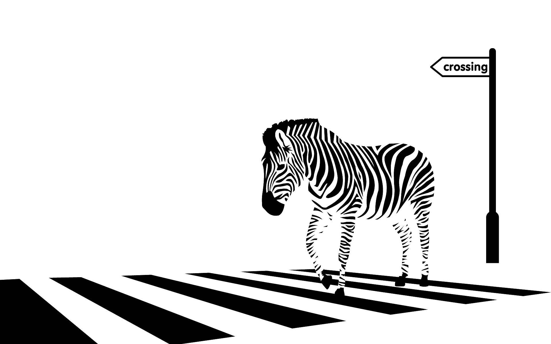 Zebra Crossing PNG High-Quality Image
