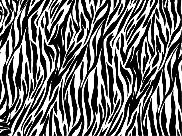 Zebra Print PNG фоновое изображение