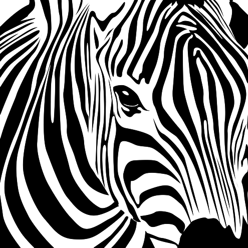 Zebra Print PNG Scarica limmagine