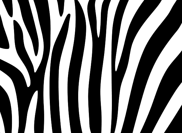 Zebra-Druck-PNG-Bild mit transparentem Hintergrund