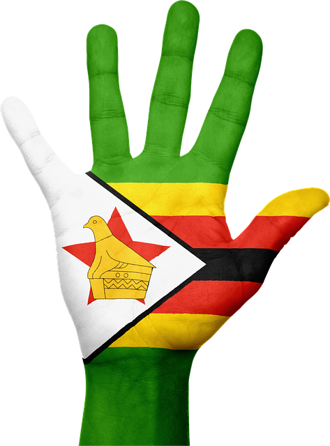 짐바브웨 국기 PNG 그림