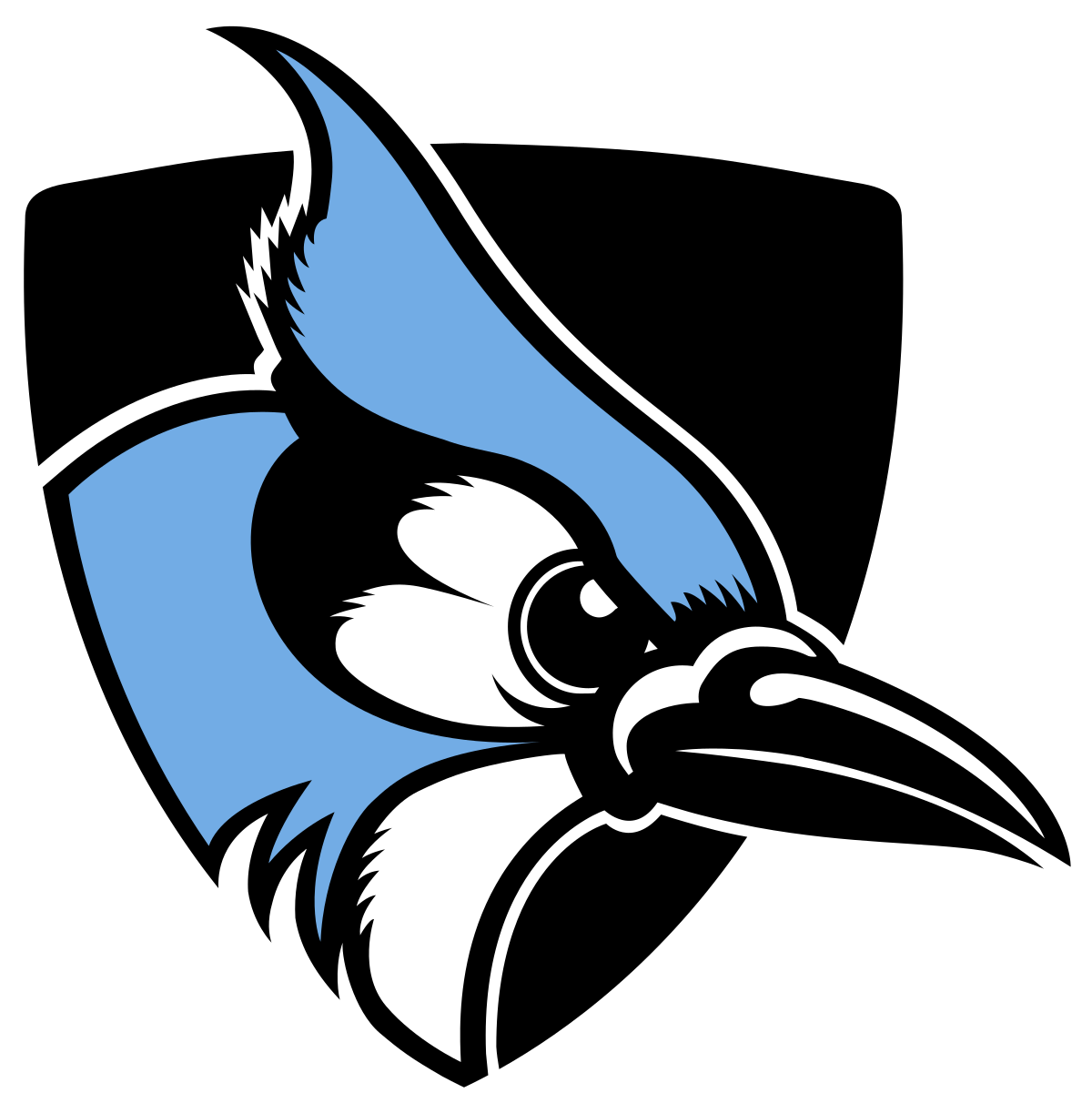 Imagem transparente azul Jays Logo