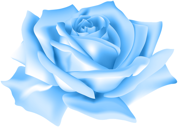 Blue Rose Descargar imagen PNG Transparente