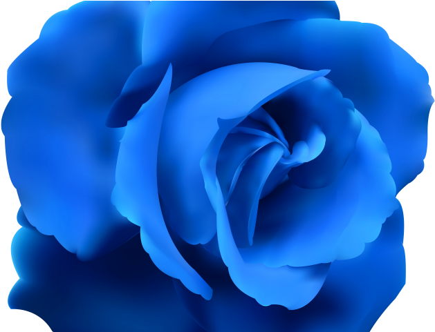 Blue Rose PNG Photo