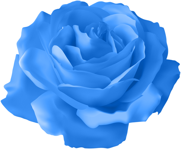 Blauw roos Transparant Beeld