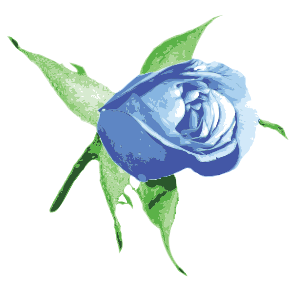 Blauw roos Transparant