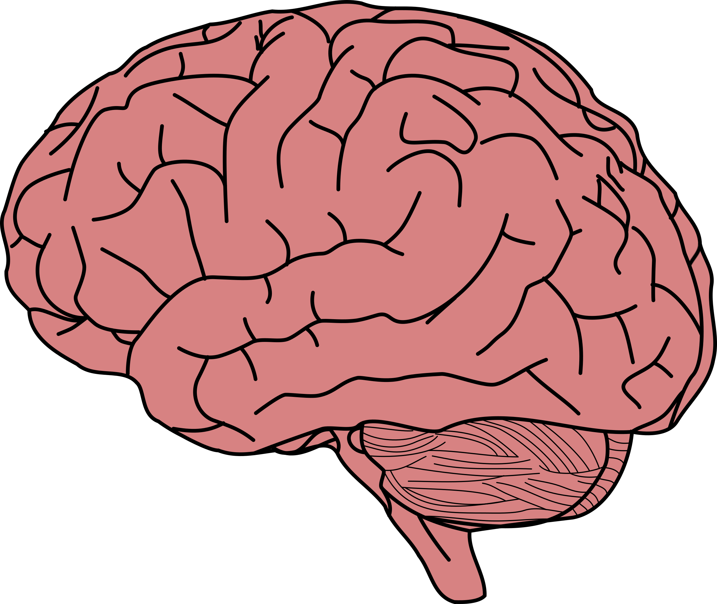 Pic PNG de contour de cerveau