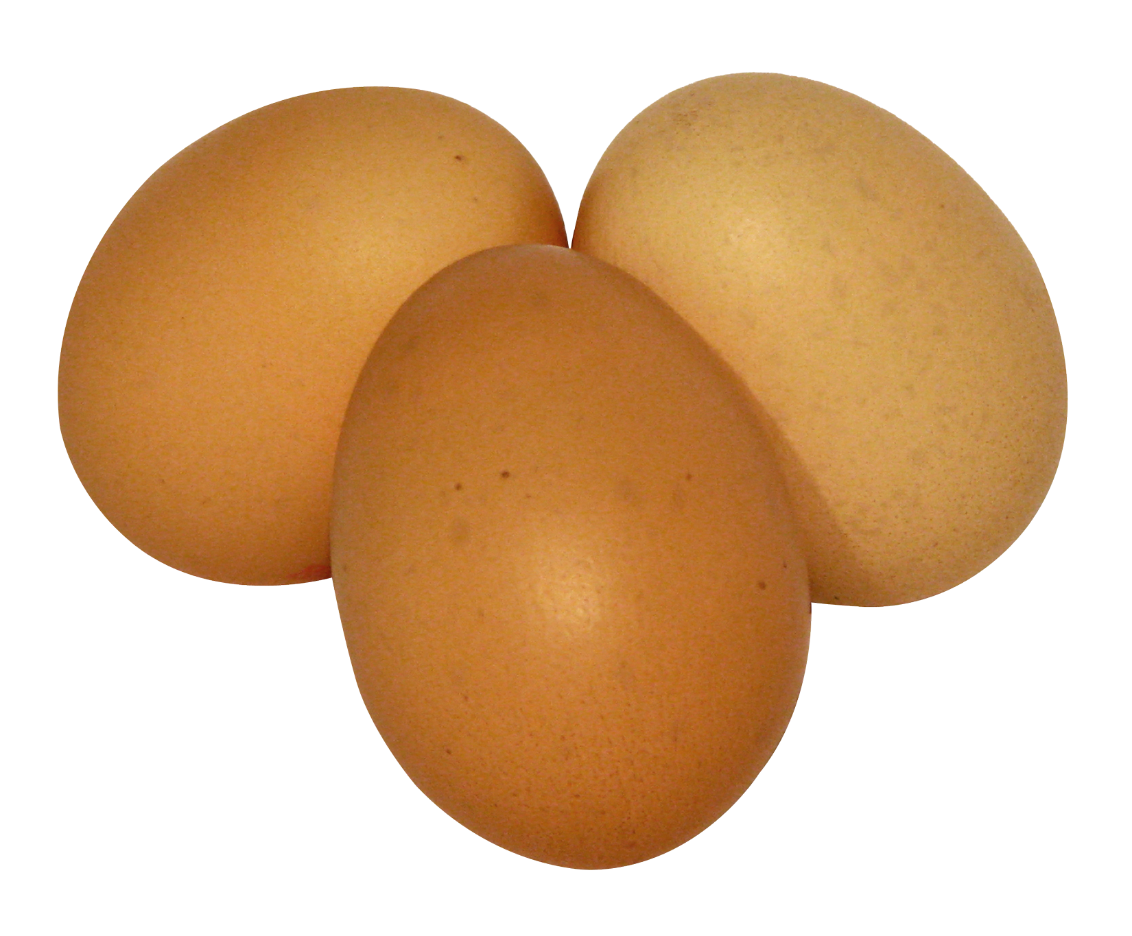Brown Eggs Download PNG Image