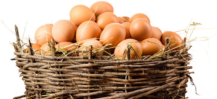 Brown Eggs PNG Image Background