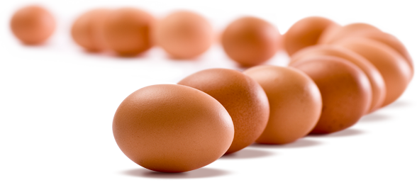 Brown Eggs PNG Image Transparent Background