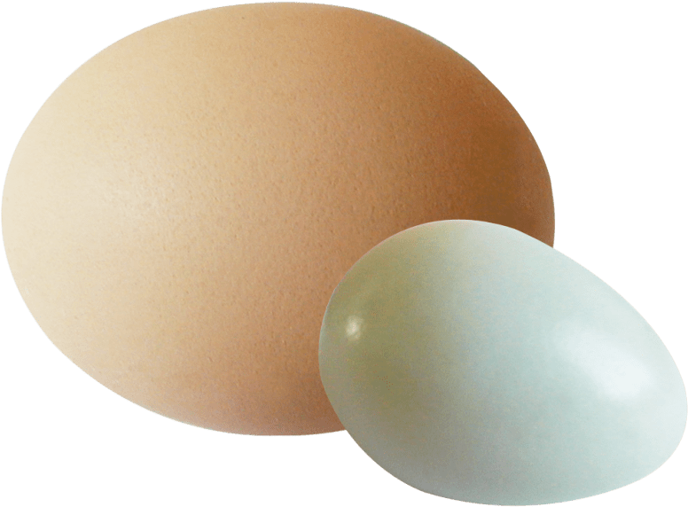 Brown Eggs PNG Image