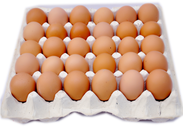 Brown Eggs PNG Transparent Image