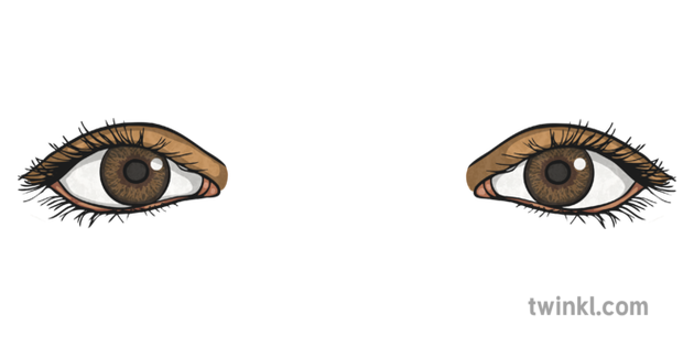 Occhi marroni PNG Immagine Trasparente